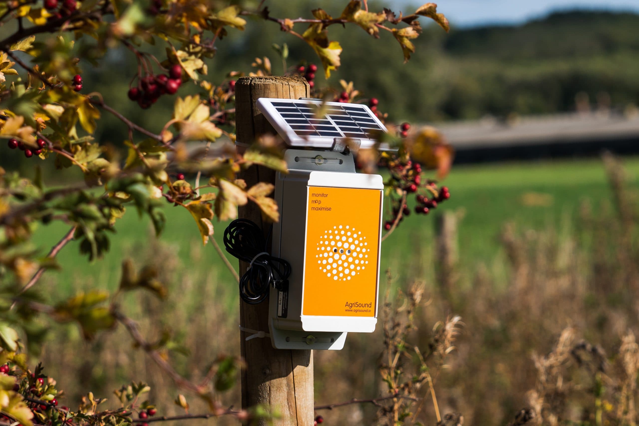 Cranswick install ground-breaking insect listening devices on pig farms to help increase biodiversity