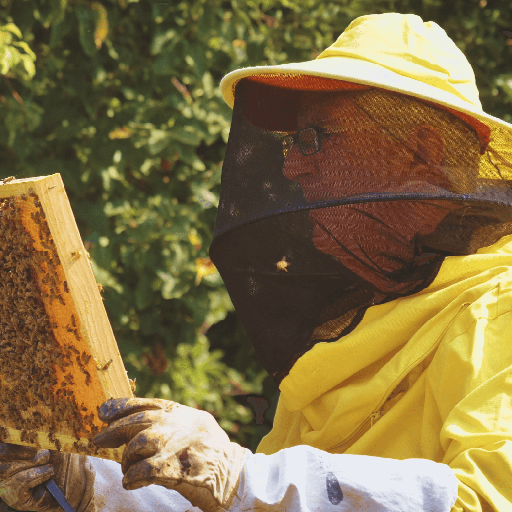 Transforming agriculture in South Africa: AgriSound's role in revolutionising pollination practices
