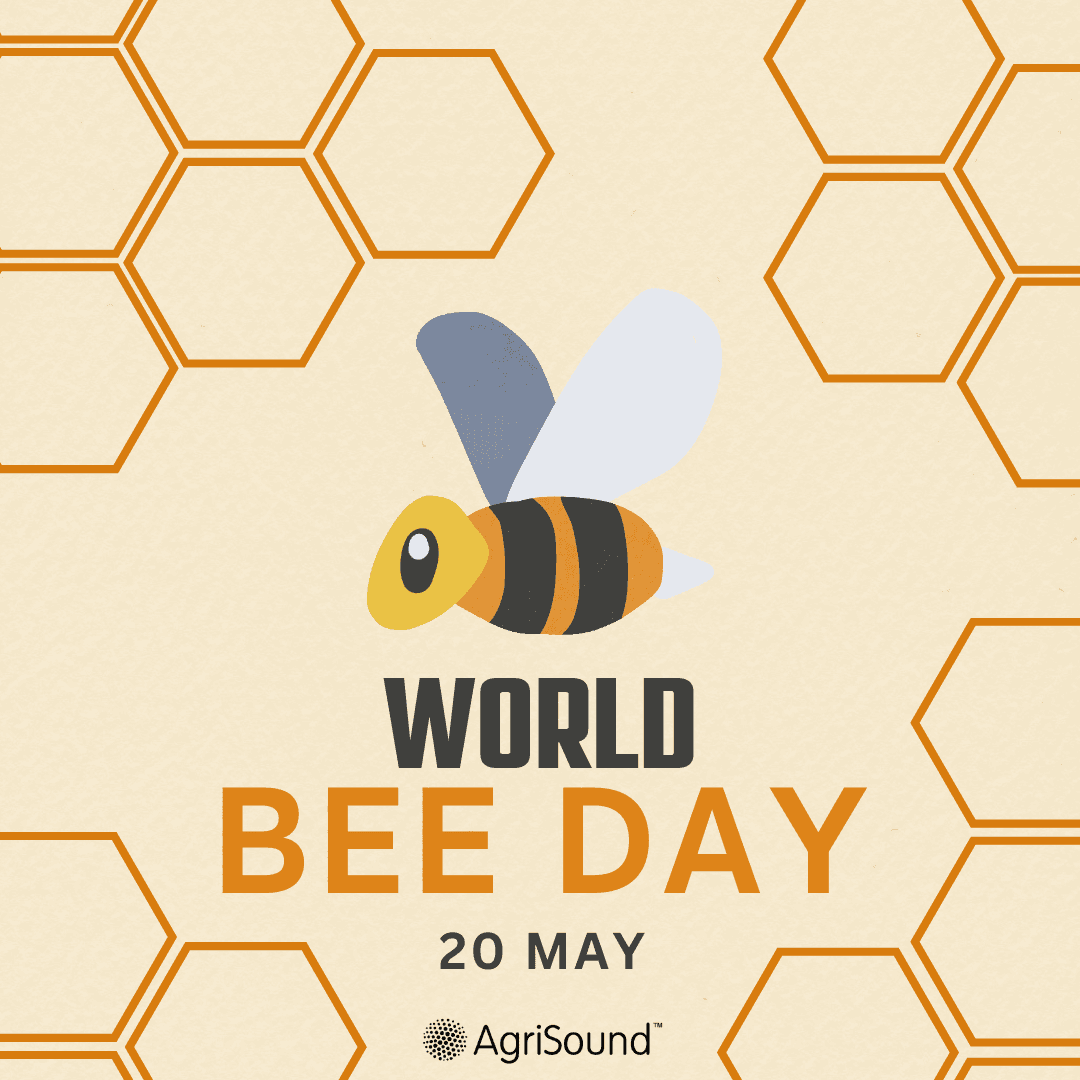 Buzzing with Purpose: Celebrating World Bee Day