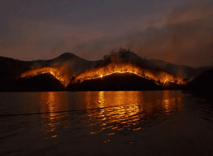 Fire, smoke, and pollination: How climate change is silently disrupting nature’s partnerships