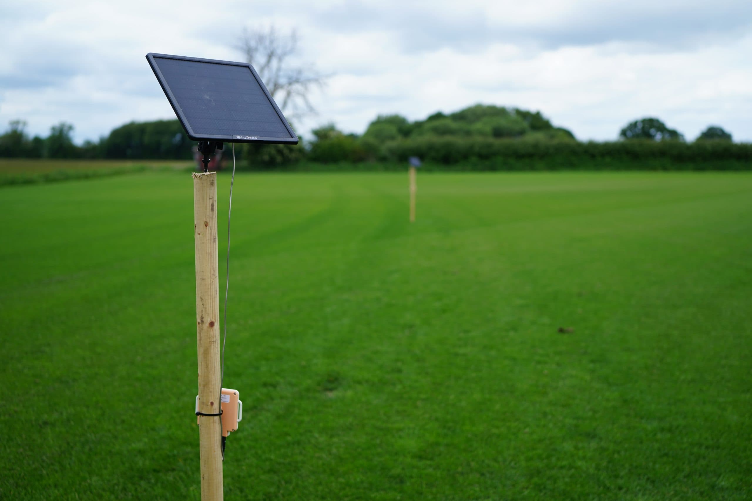 Landmark smart listening trial confirms ecological power of biodiverse turf
