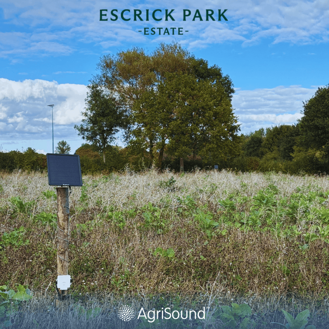Yorkshire's Escrick Park Estate launches smart tech pilot to advance biodiversity