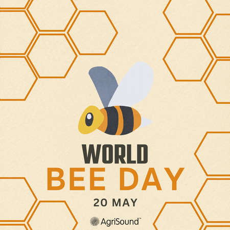 Buzzing with Purpose: Celebrating World Bee Day