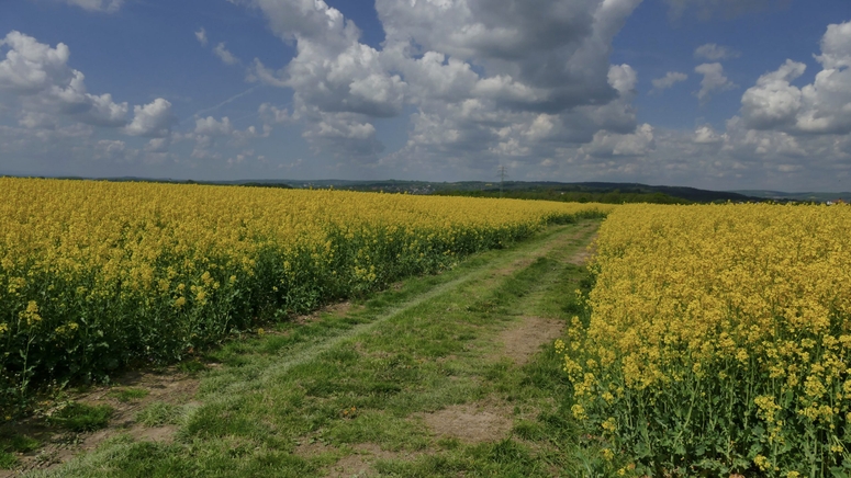 UK biodiversity tech start-up revolutionising commercial pollination wins  £300,000 European funding for first international partner R&D project