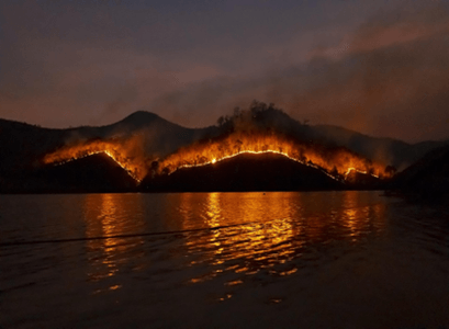 Fire, smoke, and pollination: How climate change is silently disrupting nature’s partnerships