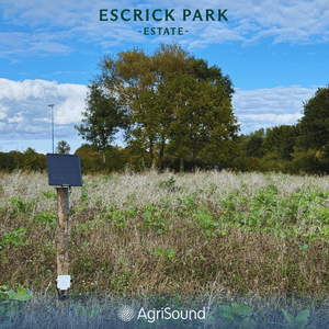 Yorkshire’s Escrick Park Estate launches smart tech pilot to advance biodiversity